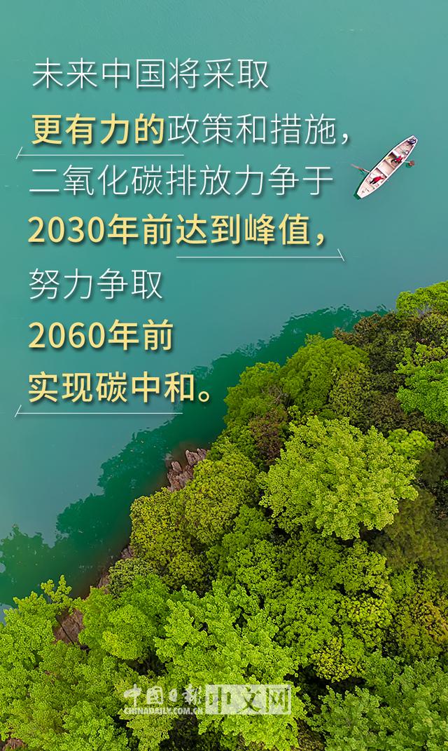 创意广告的力量：环保理念的崭新表达
